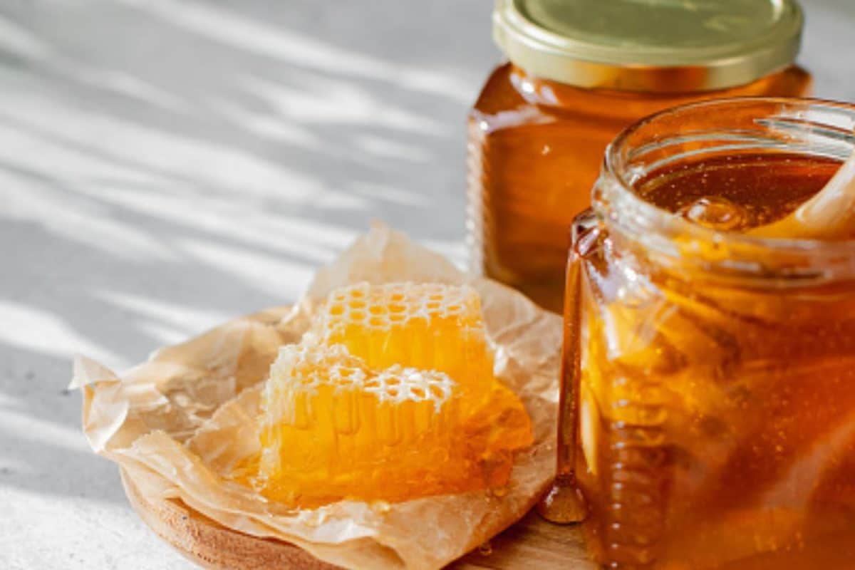 Discover the Sweet Charm of India's 'City of Honey'