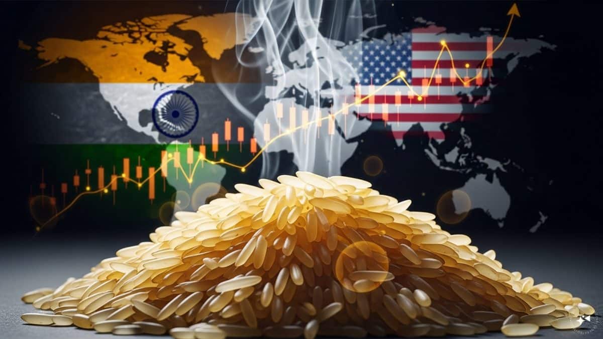 India Dismisses Rice Dumping Claims in US Market