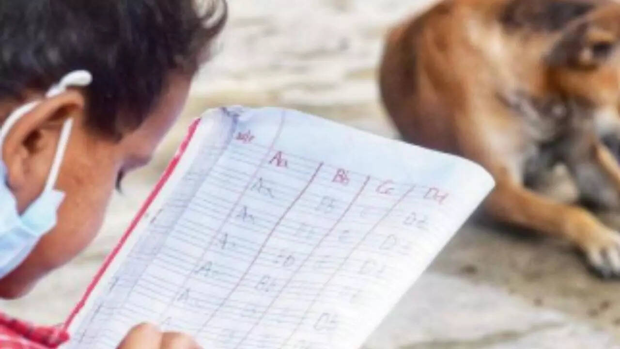 Teachers Push Back Against Stray-Dog Management Duties